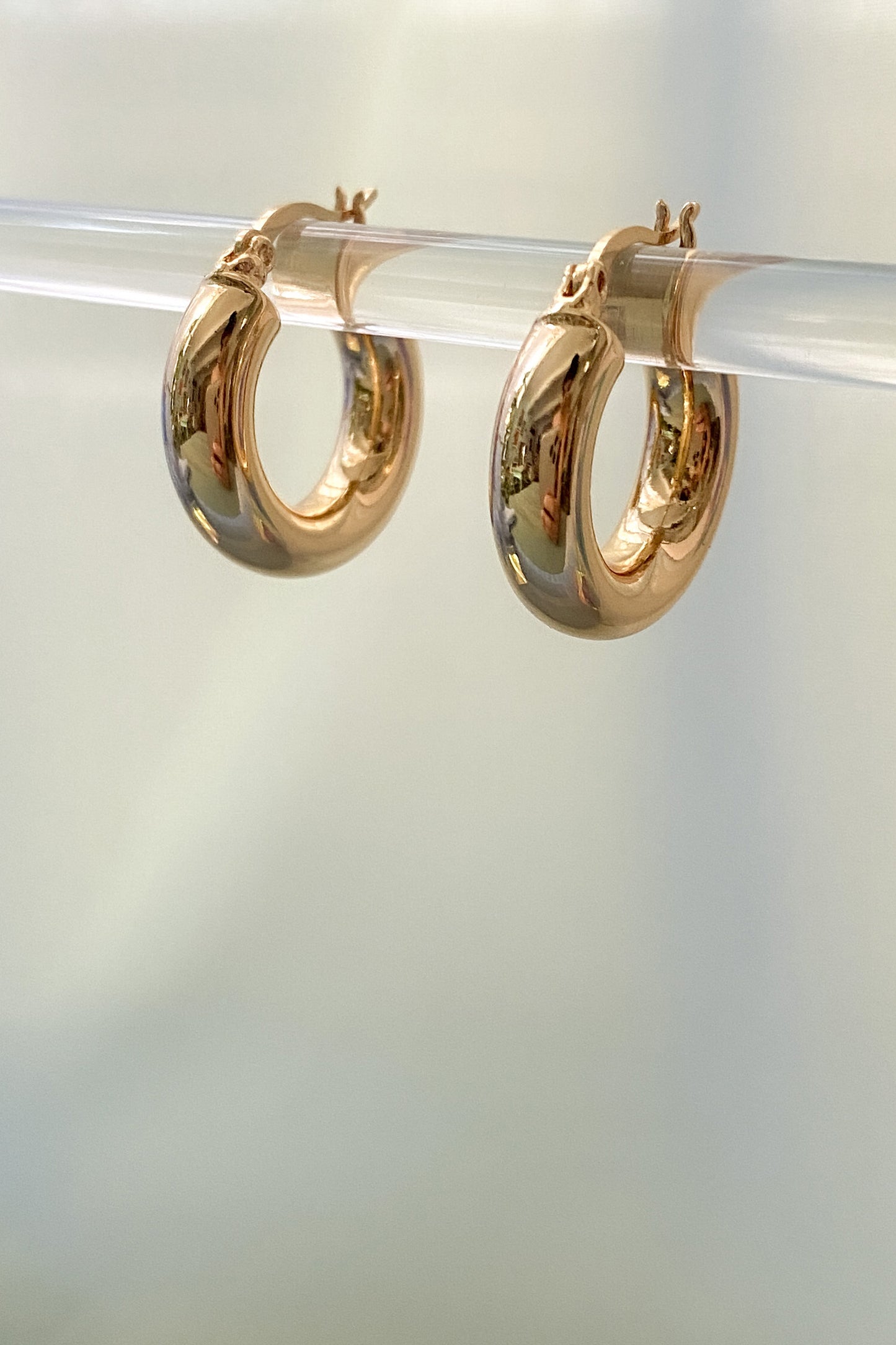 Golden Heart Locket Earrings